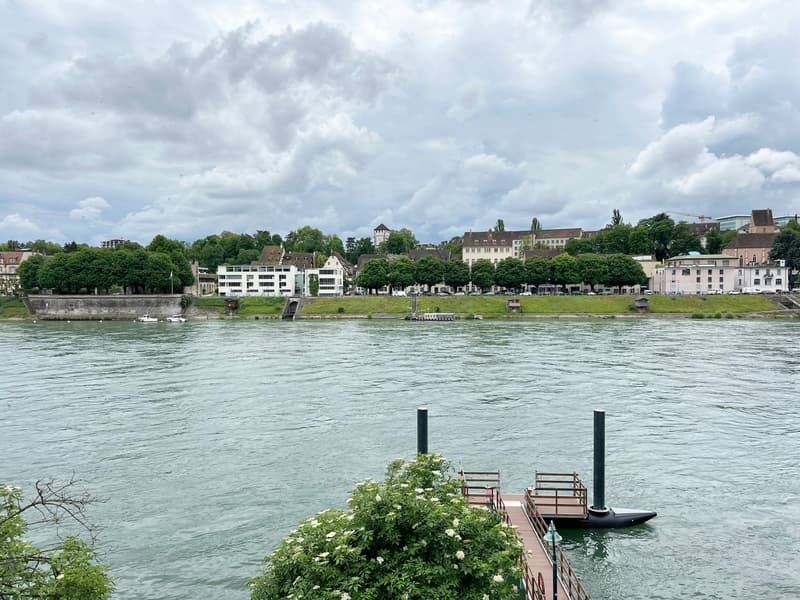 Basler Stadtvilla direkt am Rhein! (6)