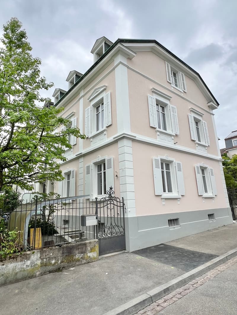 Basler Stadtvilla direkt am Rhein! (2)