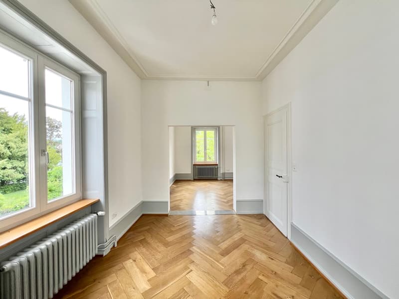 Basler Stadtvilla direkt am Rhein! (4)