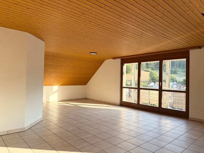 Idyllische Dachwohnung mit zwei Balkonen ! (1)