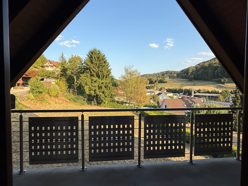 Idyllische Dachwohnung mit zwei Balkonen ! (8)