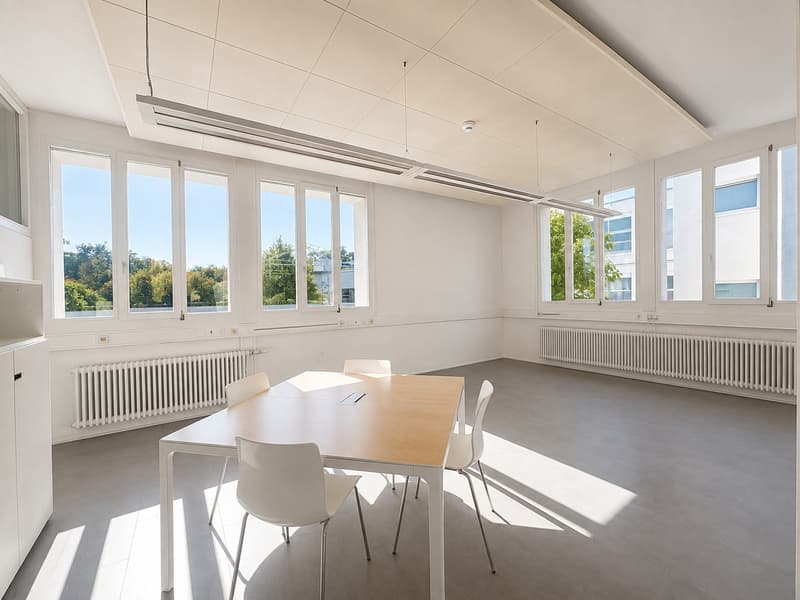 Ihr neuer Business-Standort in Birsfelden! (9)