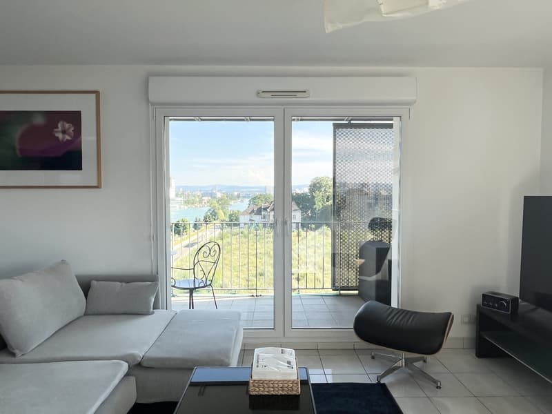 "Traumwohnung - atemberaubende Aussicht ins Dreiländereck/ Rheinhafen Basel,CH / Weil,D / Huningue,F" (3)