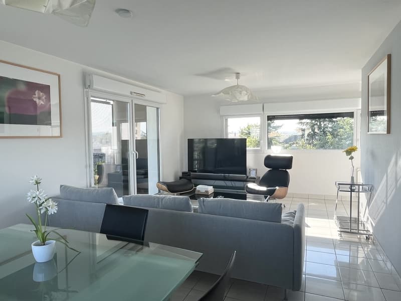 "Traumwohnung - atemberaubende Aussicht ins Dreiländereck/ Rheinhafen Basel,CH / Weil,D / Huningue,F" (4)