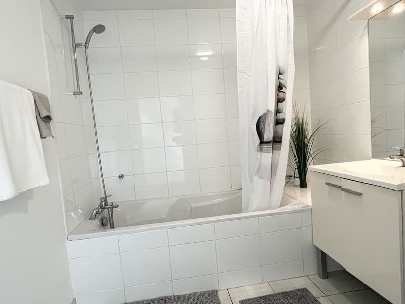 "Traumwohnung - atemberaubende Aussicht ins Dreiländereck/ Rheinhafen Basel,CH / Weil,D / Huningue,F" (8)