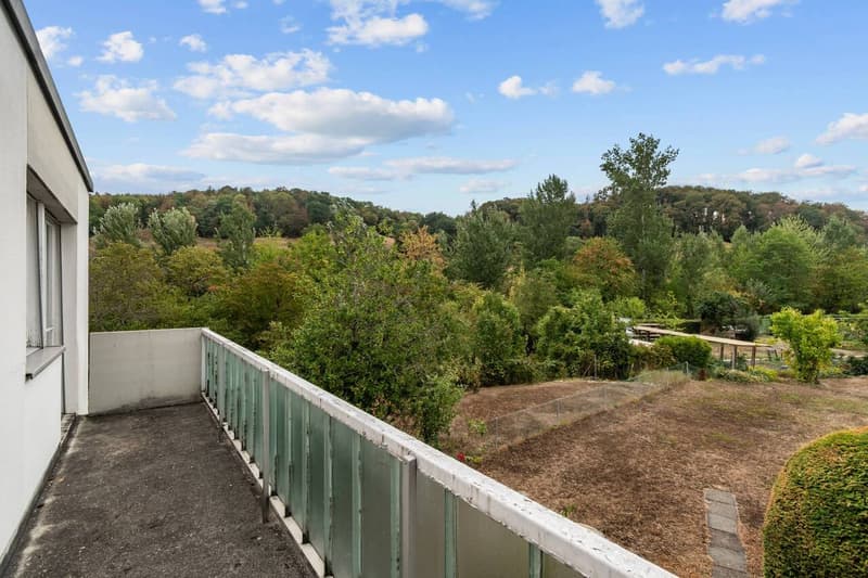5.5-Zimmer-Reihenhaus mit schönem Umschwung in Münchenstein! (9)