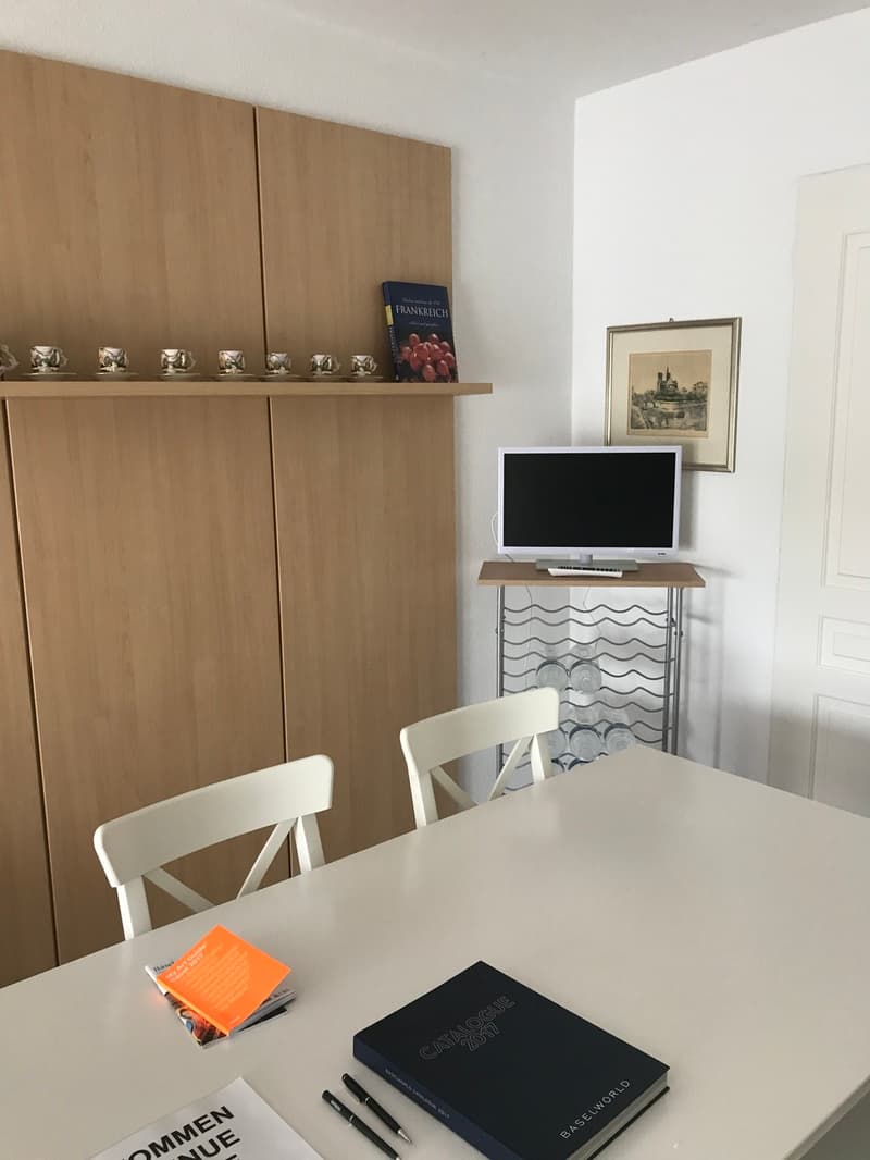 Exklusive Wohnung - Dreiländereck/ Rheinhafen Basel / Weil,D / Hunigue (7)