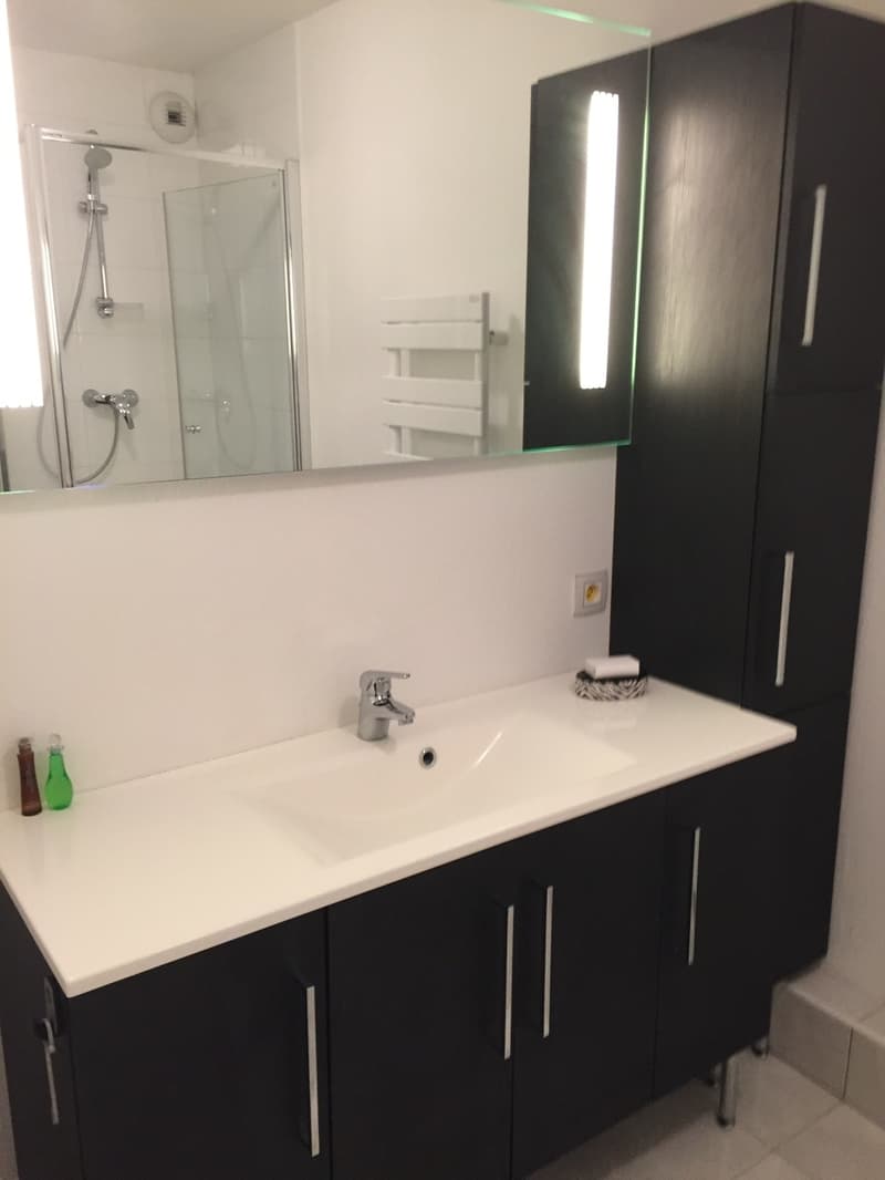 Exklusive Wohnung - Dreiländereck/ Rheinhafen Basel / Weil,D / Hunigue (10)
