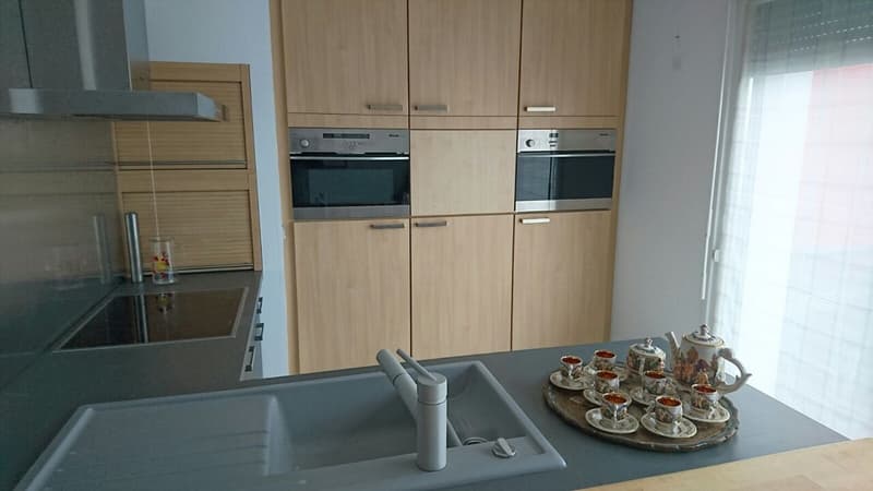 Exklusive Wohnung - Dreiländereck/ Rheinhafen Basel / Weil,D / Hunigue (5)