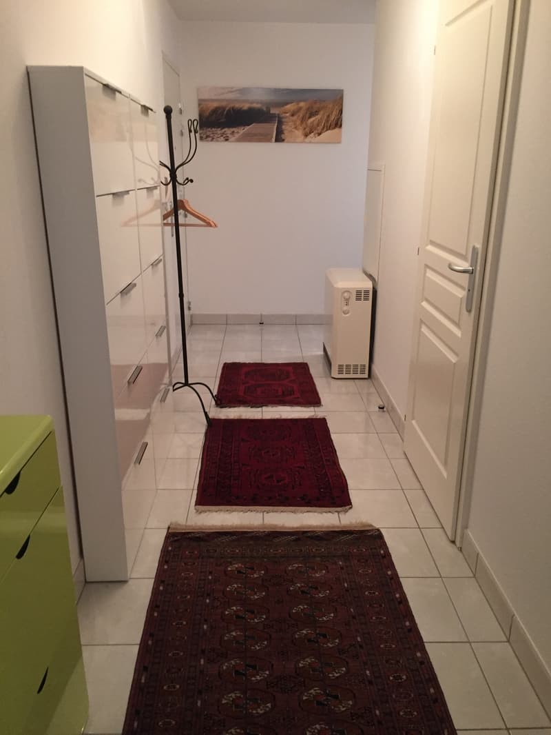 Exklusive Wohnung - Dreiländereck/ Rheinhafen Basel / Weil,D / Hunigue (9)