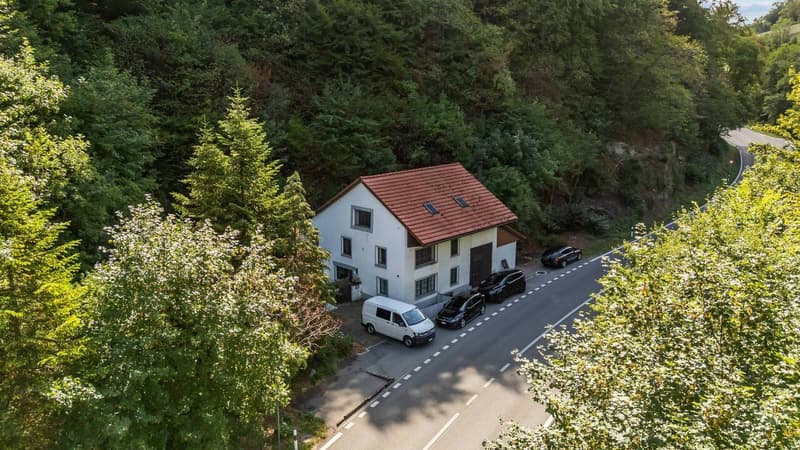Einzigartiges Wohnen inmitten grüner Natur! (1)