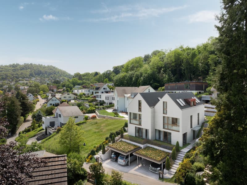 Duo Fulenbach: Doppelfamilienhaus mit fantastischer Weitsicht! (2)