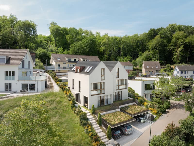 Duo Fulenbach: Doppelfamilienhaus mit fantastischer Weitsicht! (3)