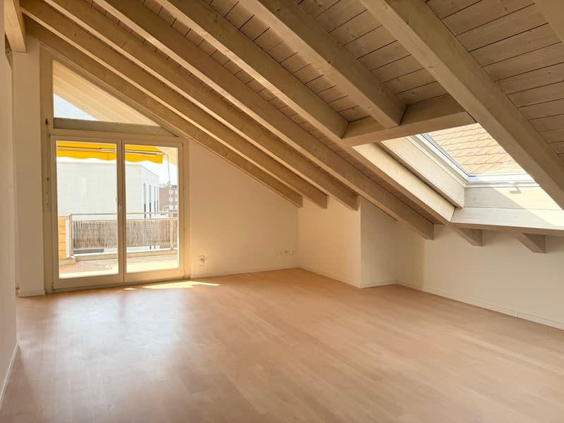 Charmante Dachwohnung an stadtnaher und sonniger Lage! (3)