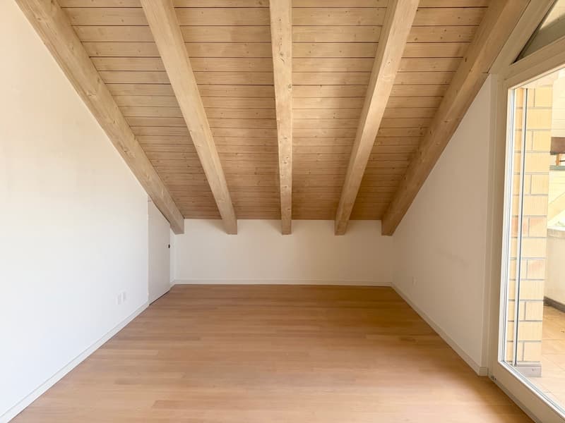 Charmante Dachwohnung an stadtnaher und sonniger Lage! (4)