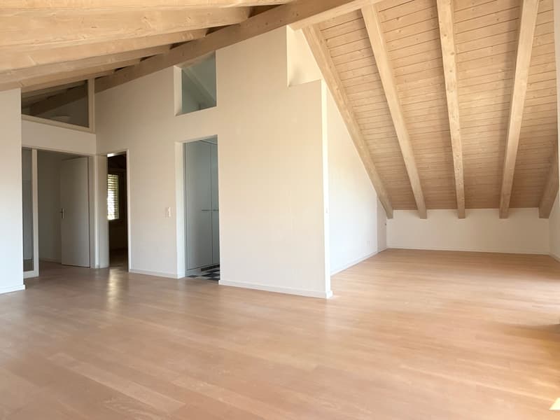 Charmante Dachwohnung an stadtnaher und sonniger Lage! (1)
