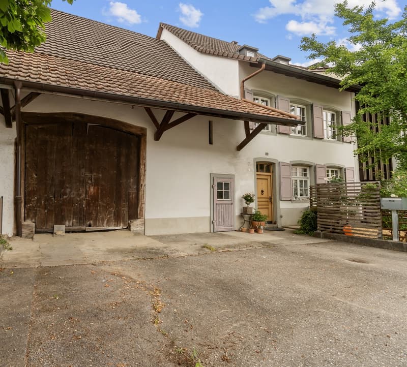 Charmantes Baselbieter Bauernhaus mit modernem Wohnkomfort! (1)