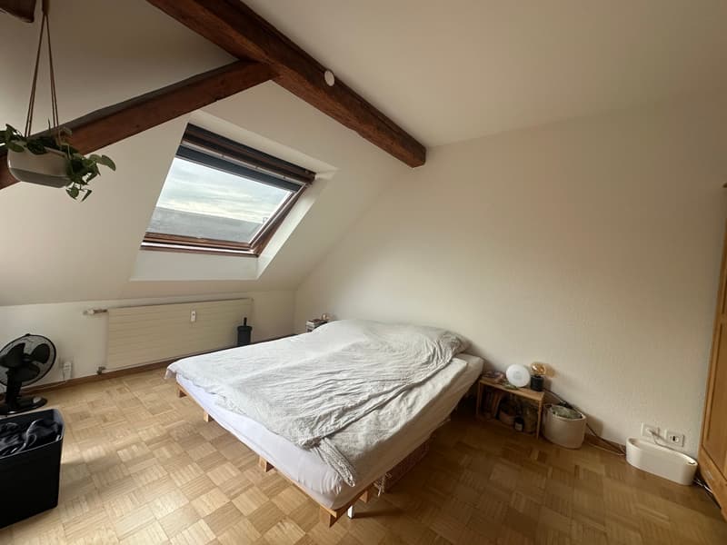 Charmante 2.5-Zimmer-Dachwohnung mit Dachterrasse! (2)