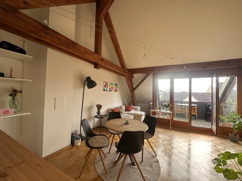 Charmante 2.5-Zimmer-Dachwohnung mit Dachterrasse! (1)