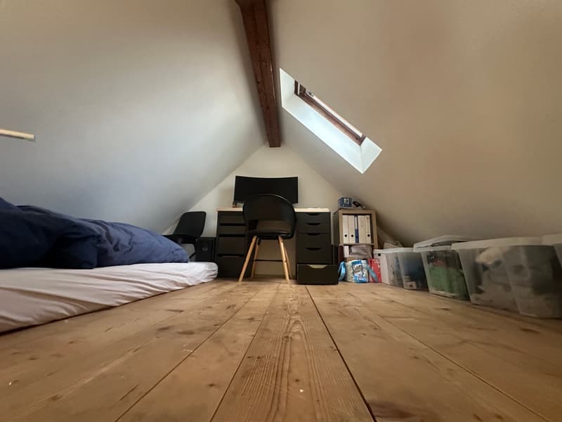 Charmante 2.5-Zimmer-Dachwohnung mit Dachterrasse! (4)