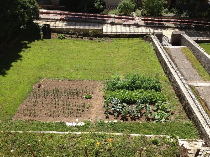 jardin_II.JPG