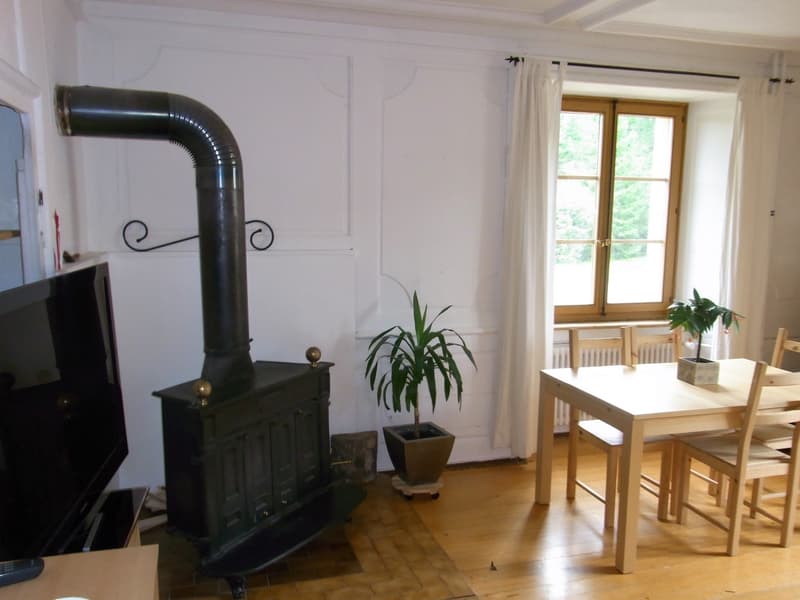 Appartamento con giardino in casa affascinante (8)