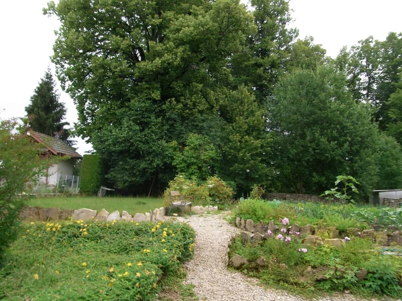 Appartamento con giardino in casa affascinante (13)