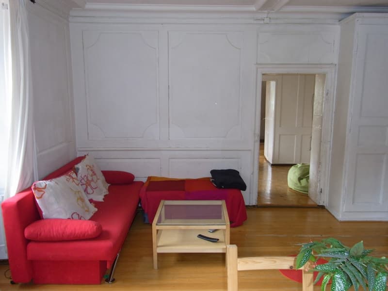 Appartamento con giardino in casa affascinante (4)