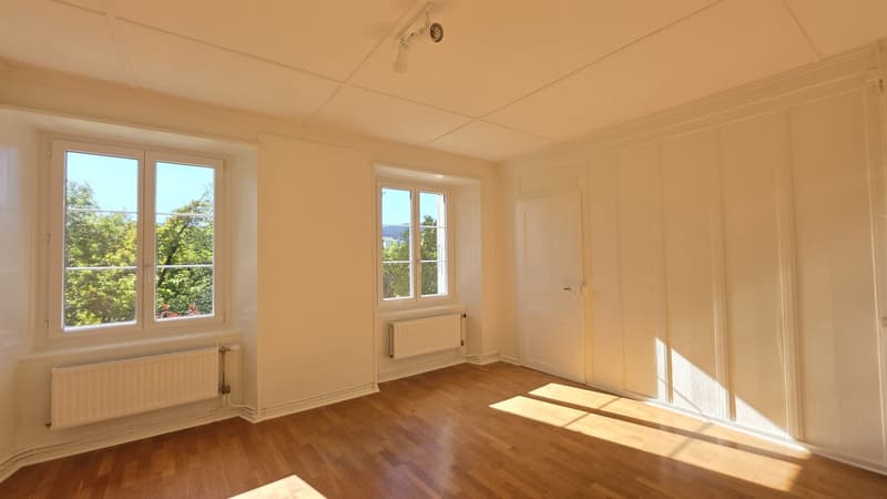 APPARTEMENT AVEC TERRASSE COMMUNE ET GARAGE (4)