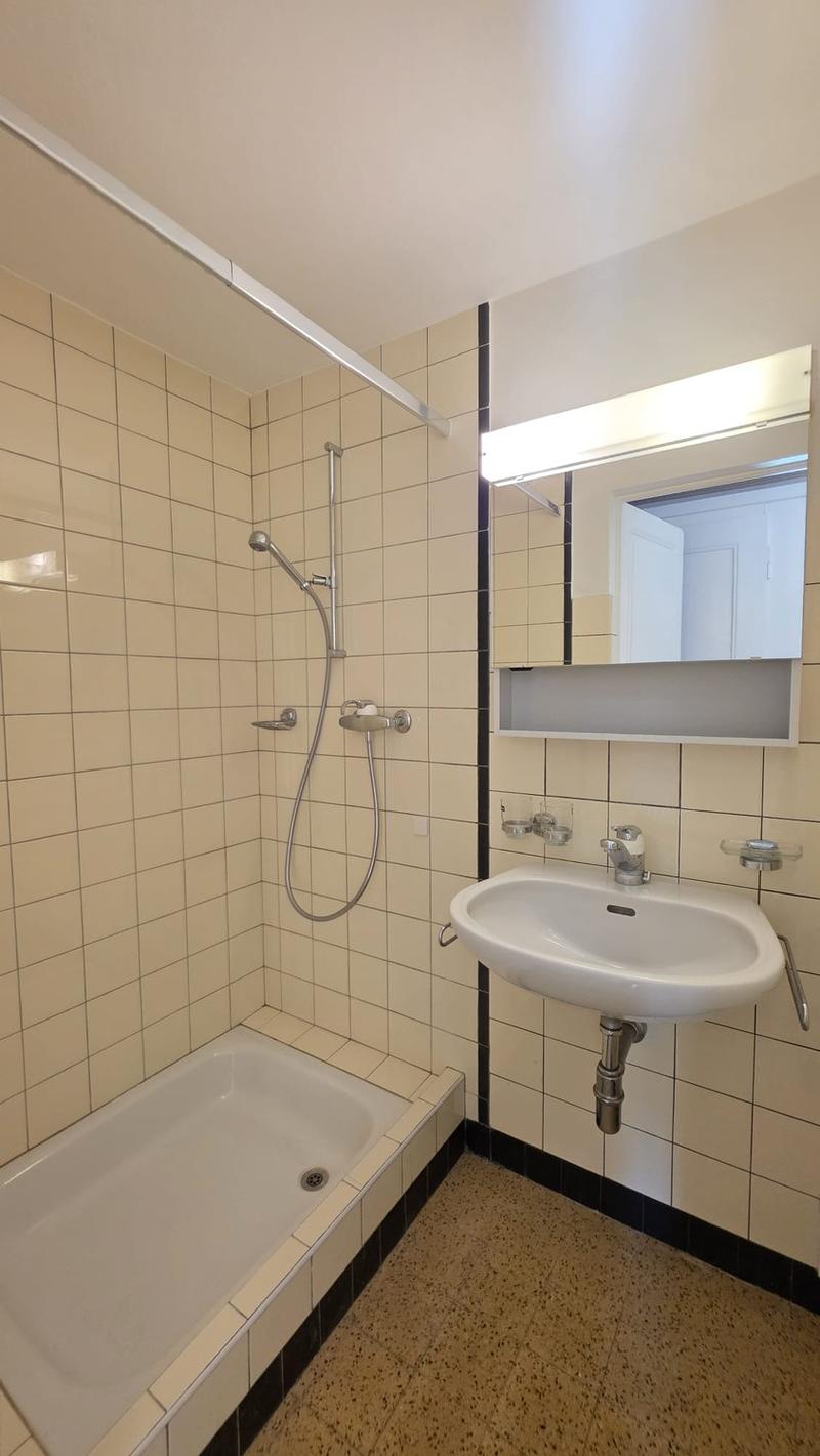 APPARTEMENT AVEC TERRASSE COMMUNE ET GARAGE (9)