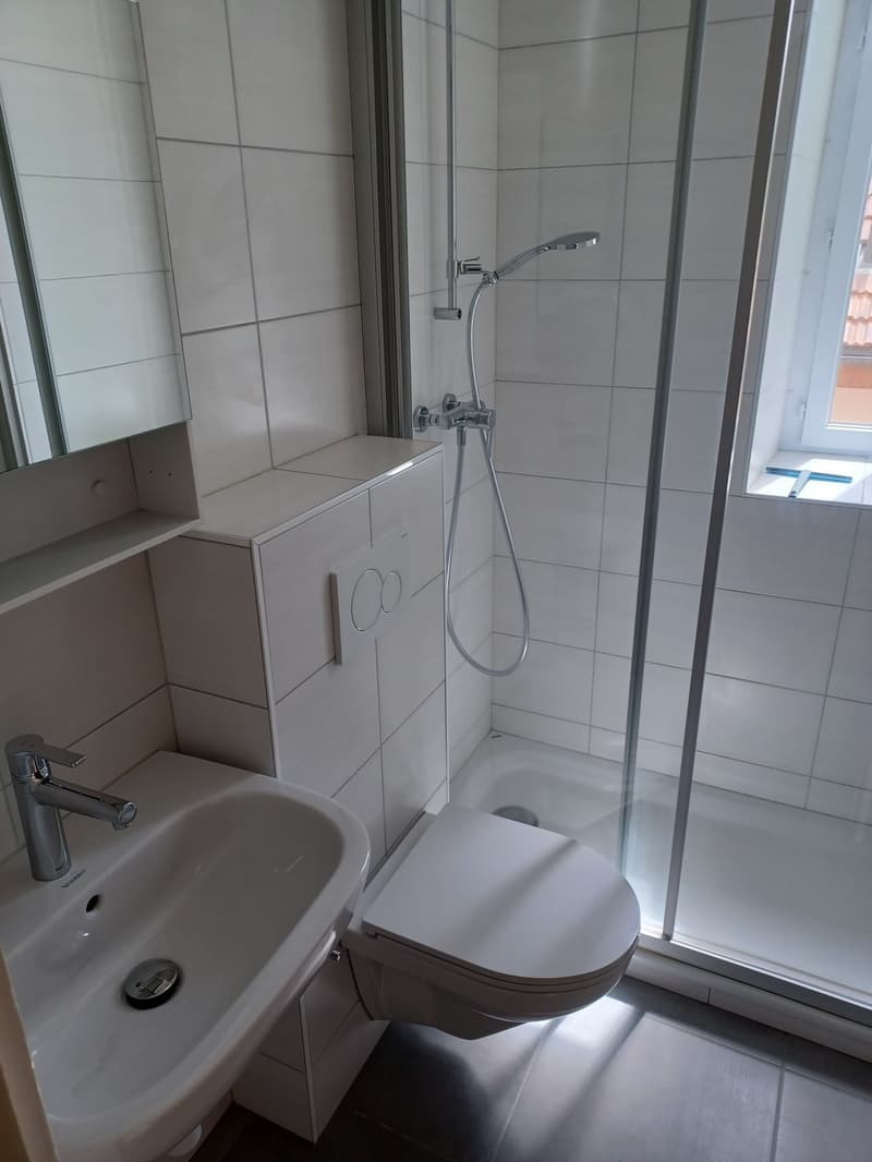 4.5 pièces tout confort dans quartier calme (2)