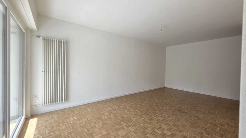 b05dde36-64ac-4ad2-bab7-43bcf9da1625.jpg