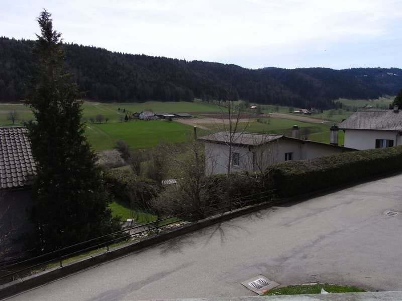 RIMG0230.JPG