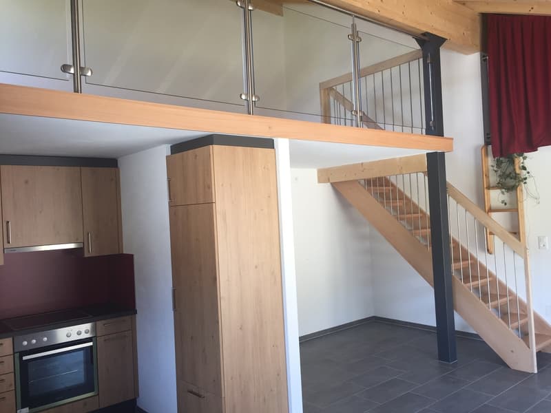 Delizioso appartamento di 2 locali con terrazza privata in un ambiente calmo e verde (6)