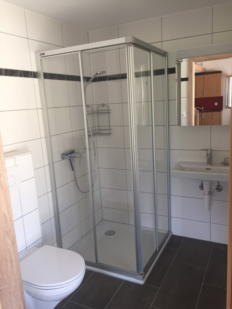 Delizioso appartamento di 2 locali con terrazza privata in un ambiente calmo e verde (7)
