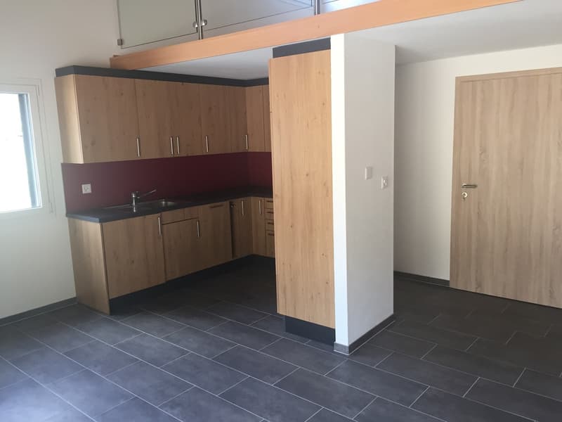 Delizioso appartamento di 2 locali con terrazza privata in un ambiente calmo e verde (4)
