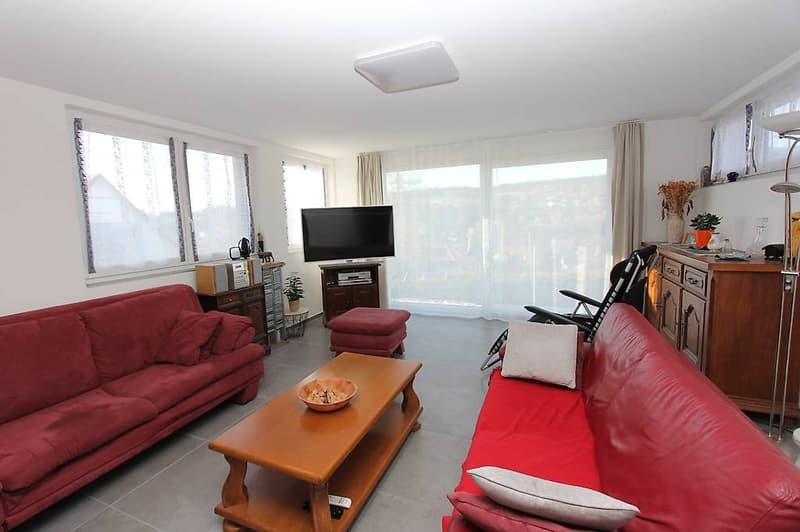 2,5 Zimmer möbliert mit Terrasse und freier Sicht + Parkplatz (4)
