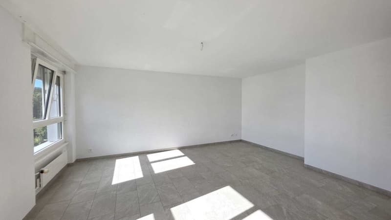 fd8286b4-1bff-4a25-a175-2c25d9c05cf5.jpg