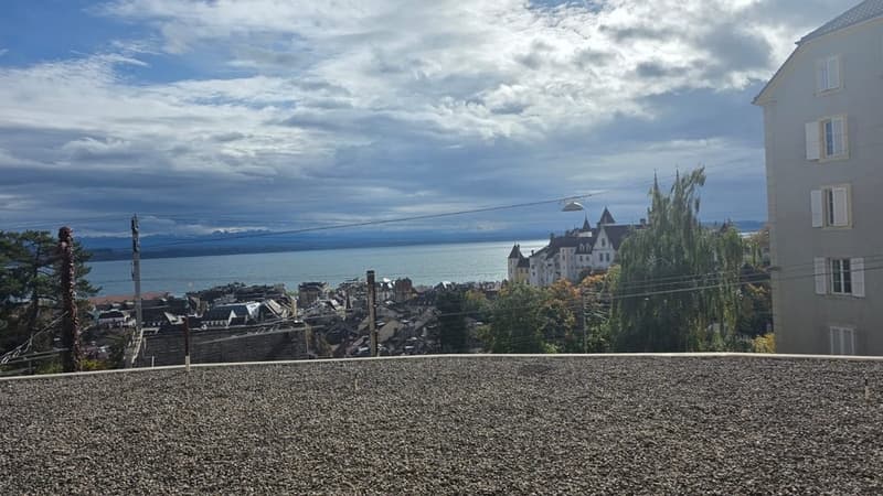 Vue.jpg