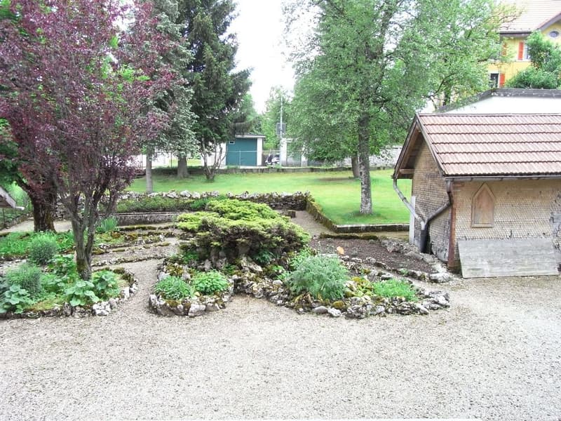 RIMG0039.JPG
