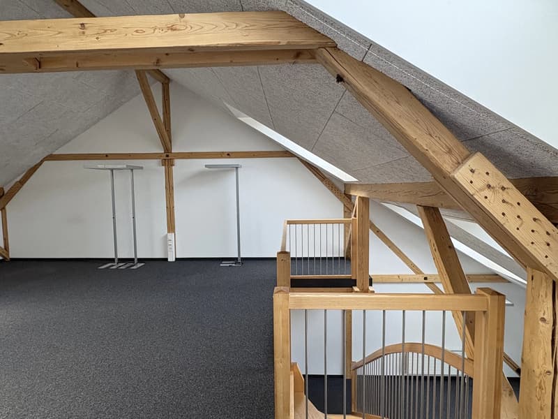 Schöne Gewerbefläche von 90 m2 in einem Doppelstock im alten Arsenal in Bex (6)