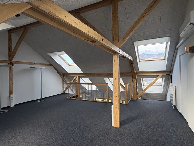 Schöne Gewerbefläche von 90 m2 in einem Doppelstock im alten Arsenal in Bex (5)