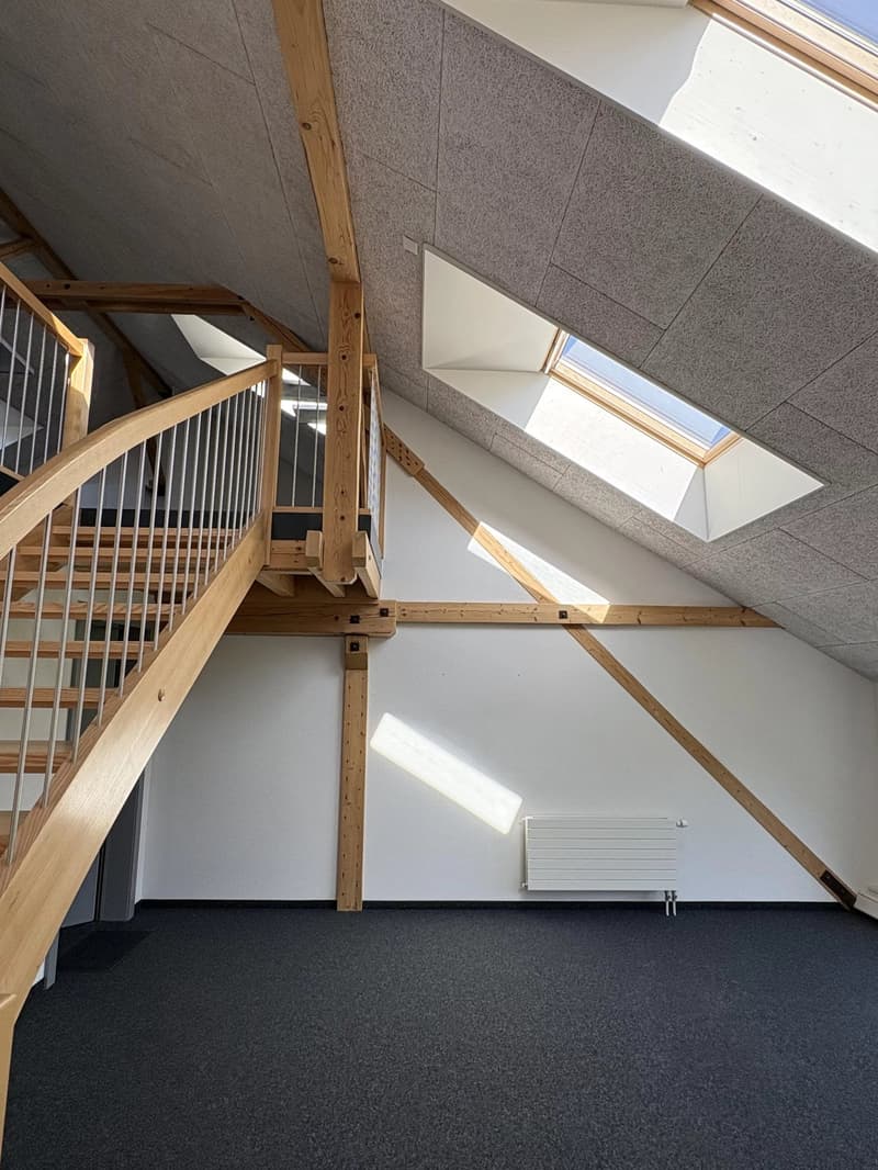 Schöne Gewerbefläche von 106 m2 in Duplex im alten Arsenal in Bex (3)