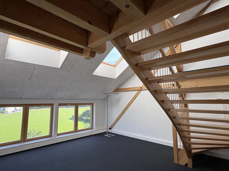 Schöne Gewerbefläche von 106 m2 in Duplex im alten Arsenal in Bex (7)