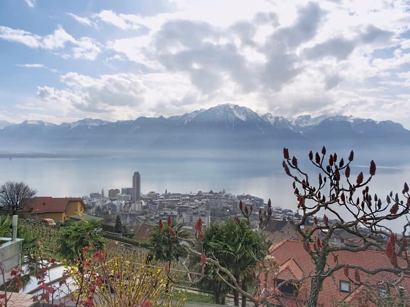 Prächtiges Haus mit 5,5 Zimmern und Panoramablick auf den See und die Berge. (1)