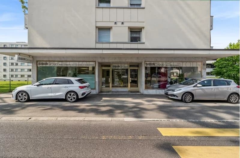 Locali commerciali - showroom - Officina (1)