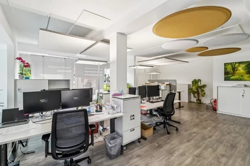 Locali commerciali - showroom - Officina (2)
