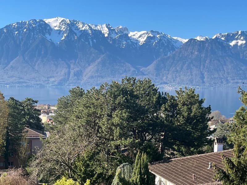 Selten zur Miete - Geräumige 5.5 Zimmer mit Panoramablick auf den Genfersee (4)