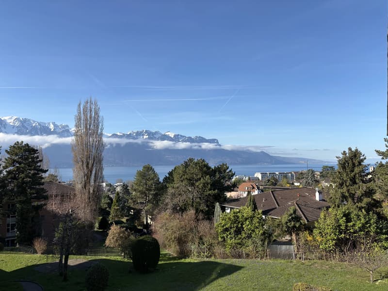 Selten zur Miete - Geräumige 5.5 Zimmer mit Panoramablick auf den Genfersee (3)