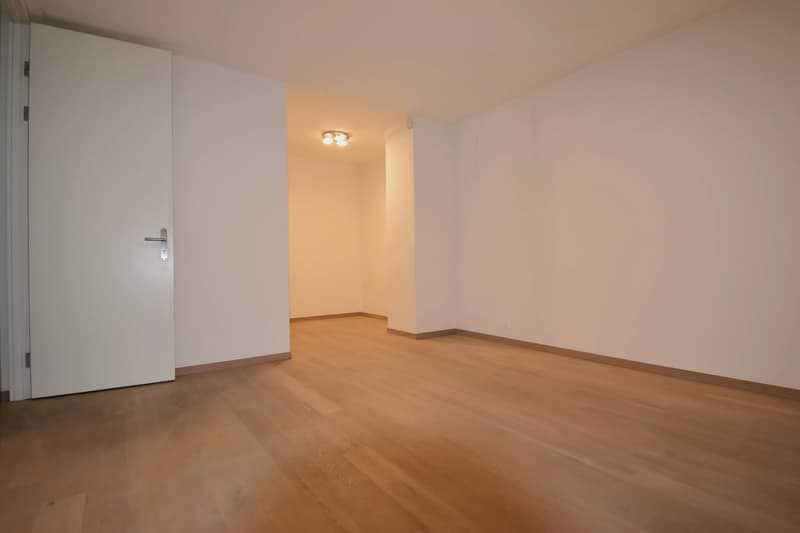 Luxuriöse 5.5-Zimmer-Wohnung mit hohem Standard (6)